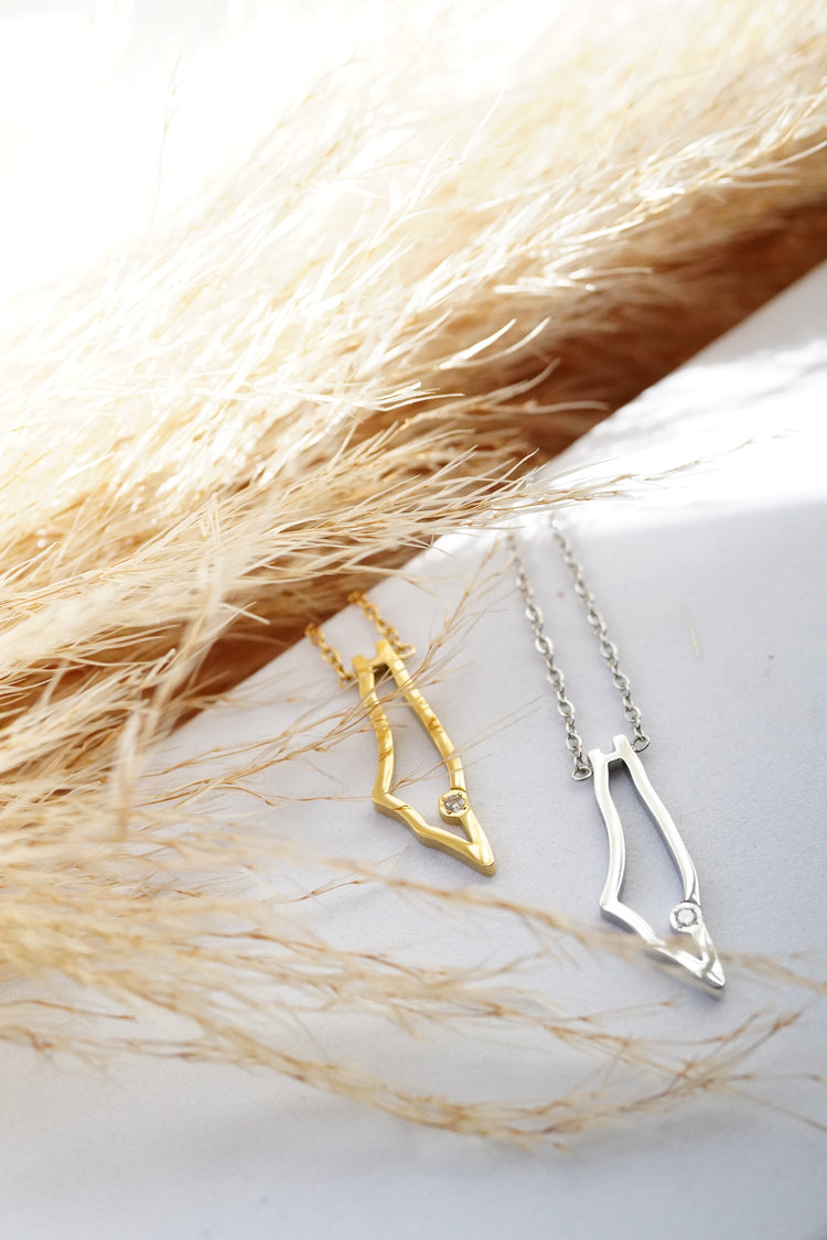 Palestine collection