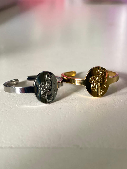 Adjustable Ring (Everything is tempory)