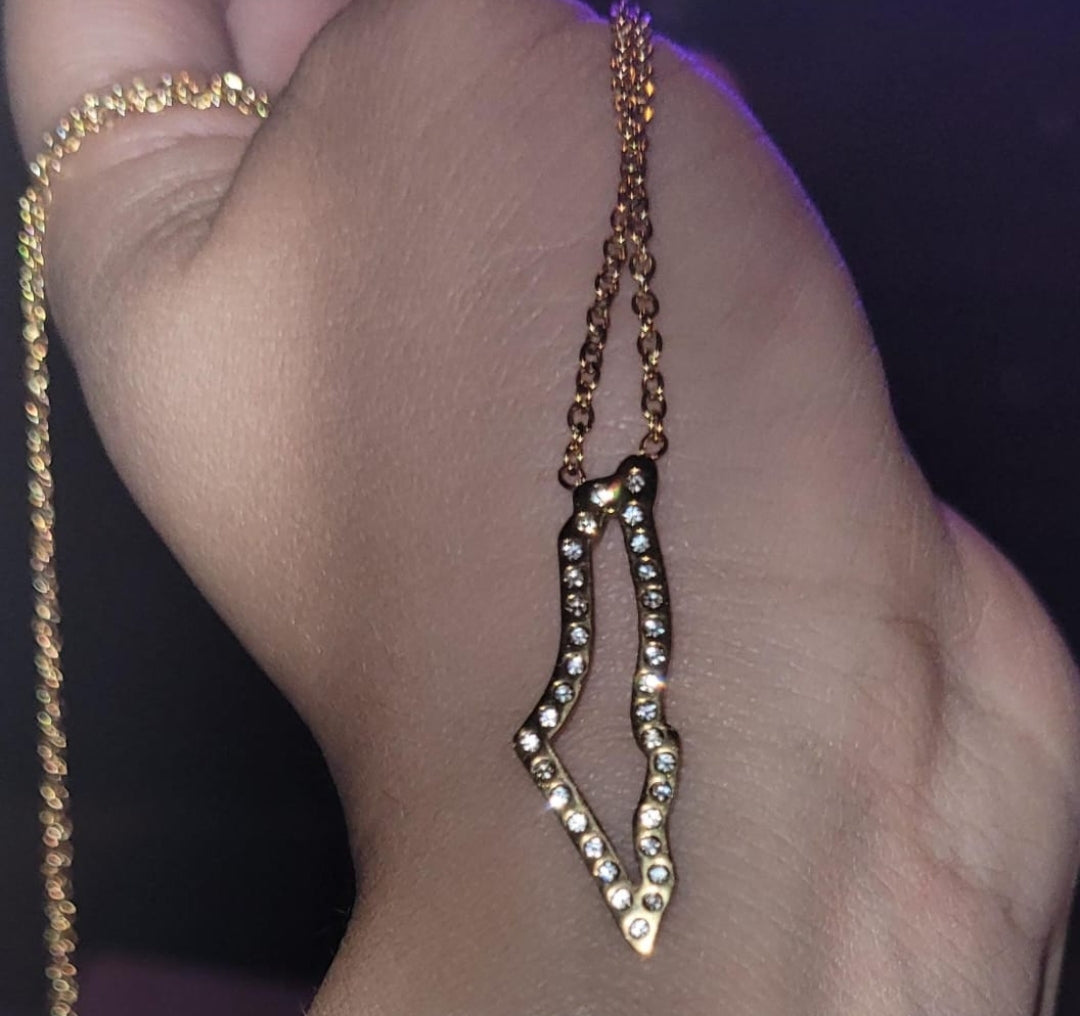 Palestine Cubic Encrusted Map necklace π΅πΈ