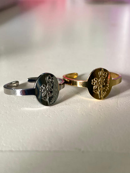 Adjustable Ring (Everything is tempory)