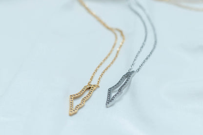 Palestine Cubic Encrusted Map necklace 🇵🇸